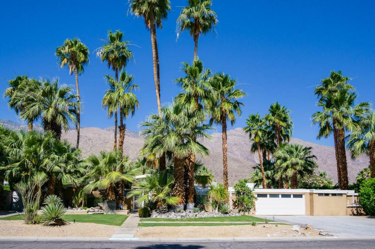 South Aquanetta Home Palm Springs Eksteriør billede